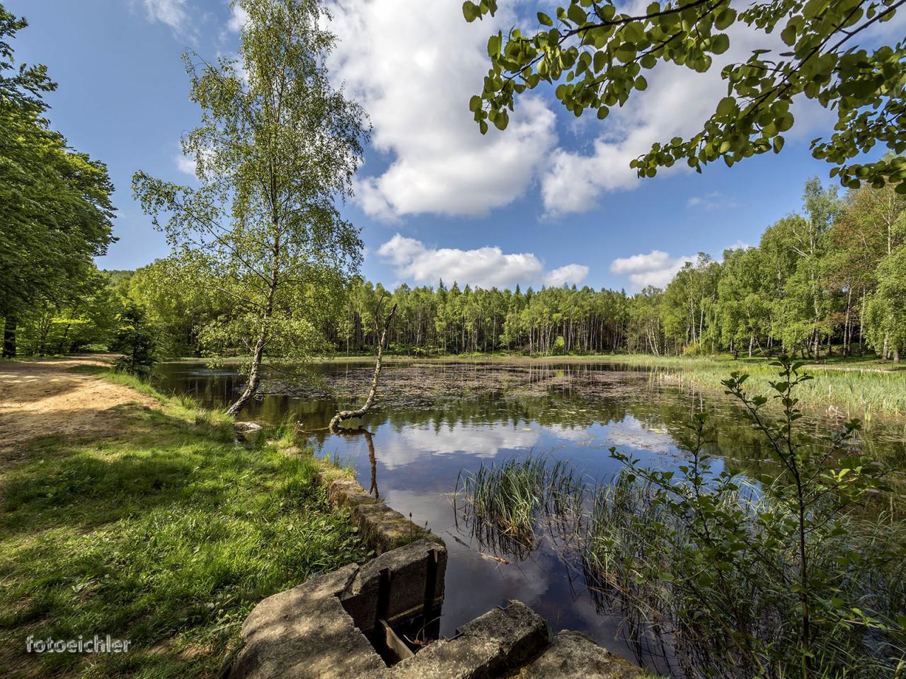 Výlety